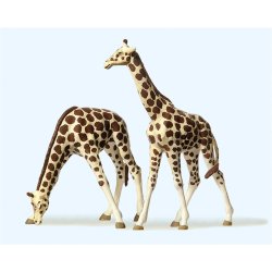 Preiser 20385 - H0 Giraffen