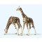 Preiser 20385 - H0 Giraffen